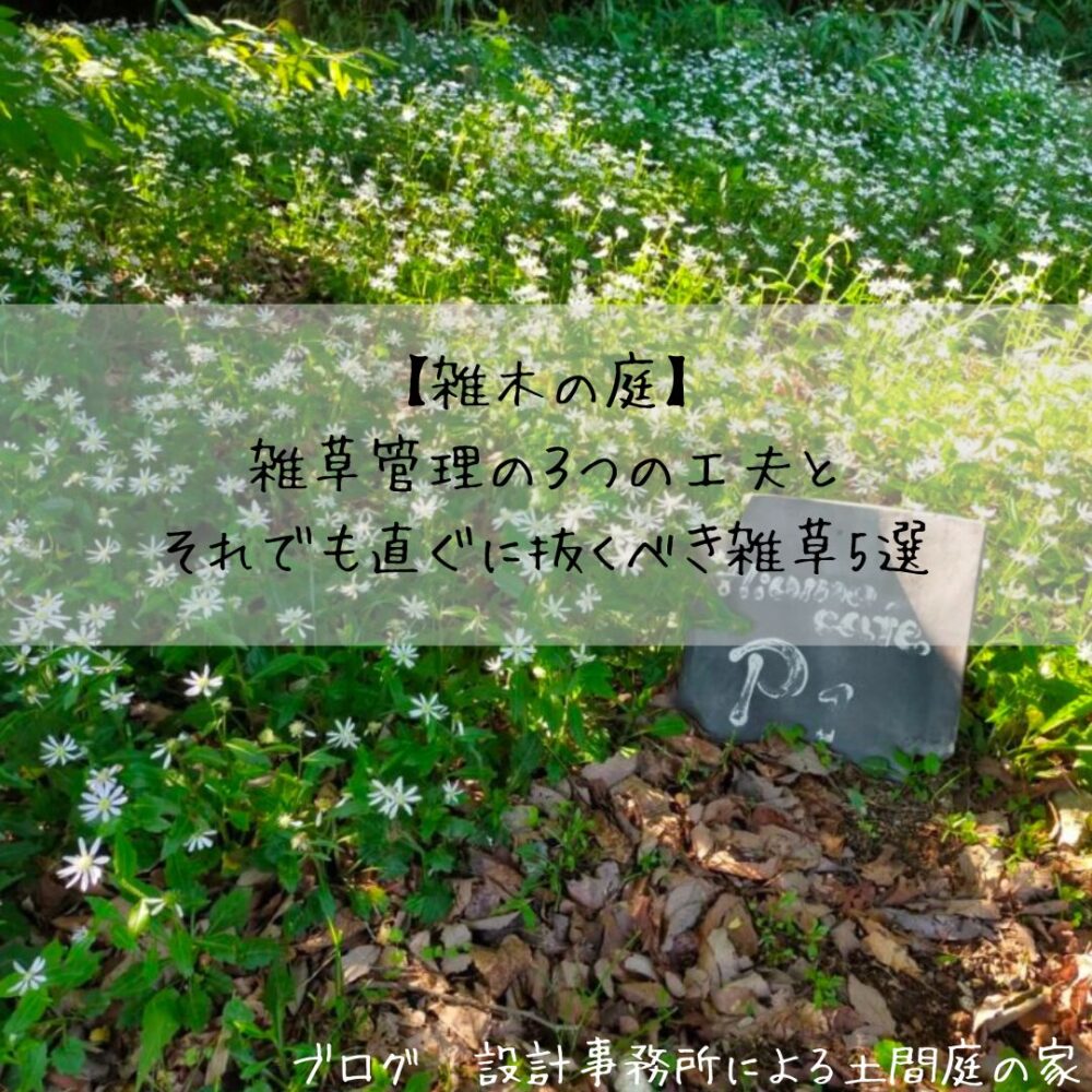 雑木の庭 雑草管理の3つの工夫とそれでも直ぐに抜くべき雑草7選 設計事務所による土間庭の家 雑木の庭 雑草管理の3つの工夫とそれでも直ぐに抜くべき雑草7選 設計事務所による土間庭の家