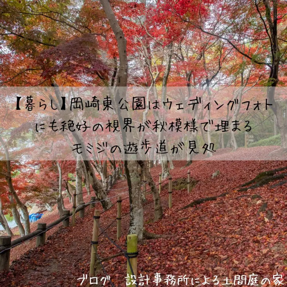 暮らし 岡崎東公園はウェディングフォトにも絶好の視界が秋模様で埋まる紅葉の遊歩道が見処 設計事務所による土間庭の家