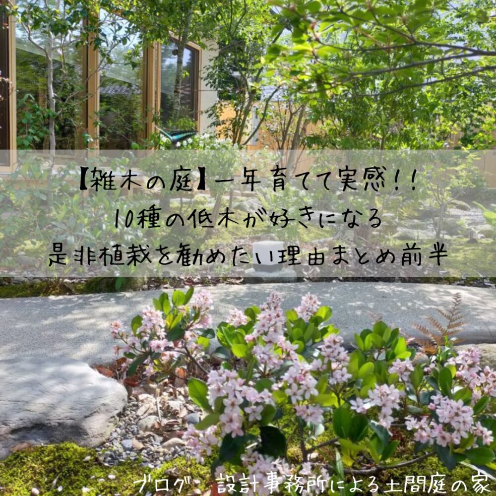 【雑木の庭】一年育てて実感!!10種の低木が好きになる是非植栽を勧めたい理由まとめ前半 | 設計事務所による土間庭の家