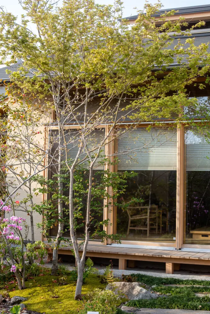 雑木の庭】イロハモミジがひっそりと開花しています | 設計事務所